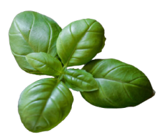 Weight loss meal plans in Karachi with fresh, healthy diet meals from AQ Meal.